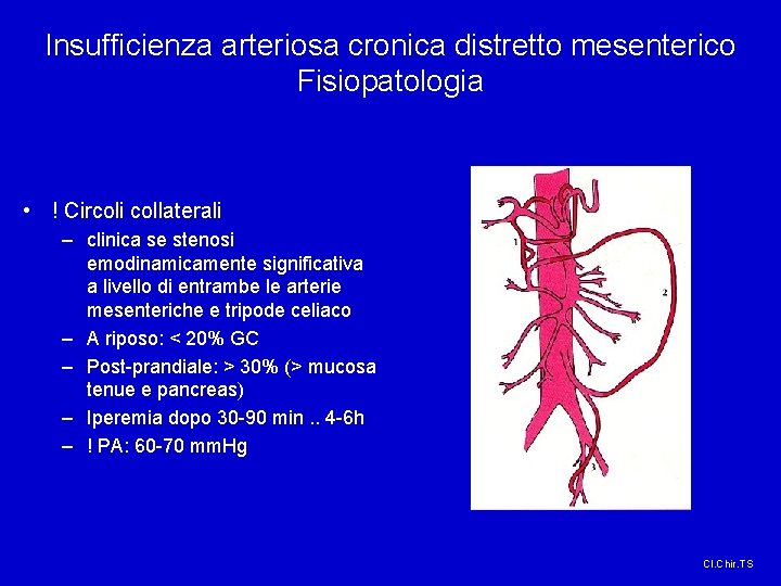 Insufficienza arteriosa cronica distretto mesenterico Fisiopatologia • ! Circoli collaterali – clinica se stenosi