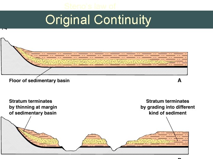 Steno’s law of Original Continuity 