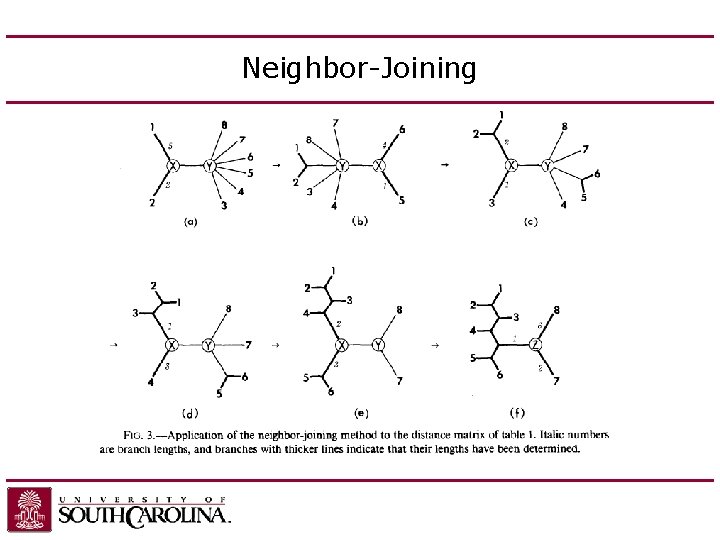 Neighbor-Joining 