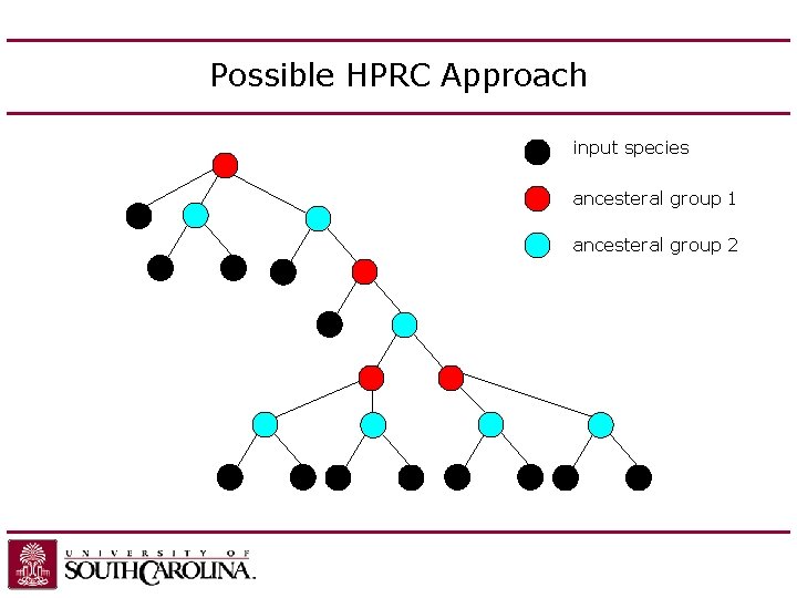 Possible HPRC Approach input species ancesteral group 1 ancesteral group 2 g 5 g