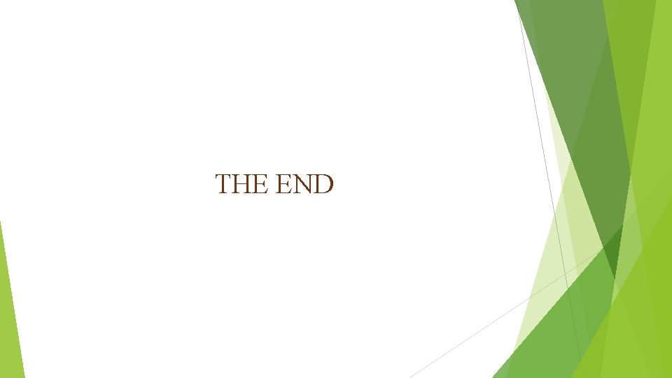 THE END 