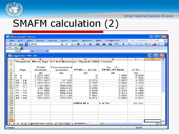 SMAFM calculation (2) United Nations Workshop on Revision 3 of Principles and Recommendations for