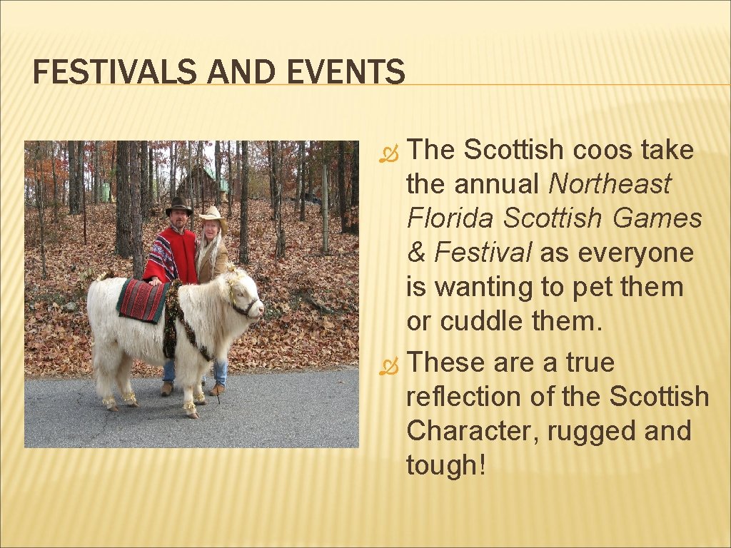 FESTIVALS AND EVENTS The Scottish coos take the annual Northeast Florida Scottish Games &