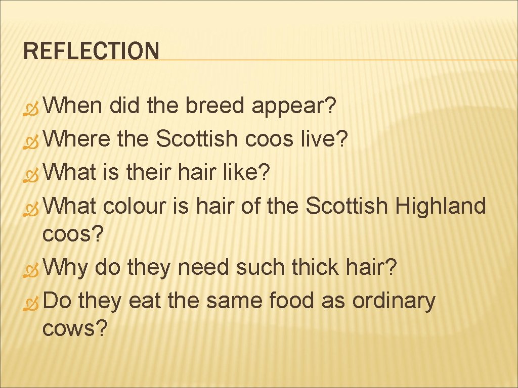 REFLECTION When did the breed appear? Where the Scottish coos live? What is their