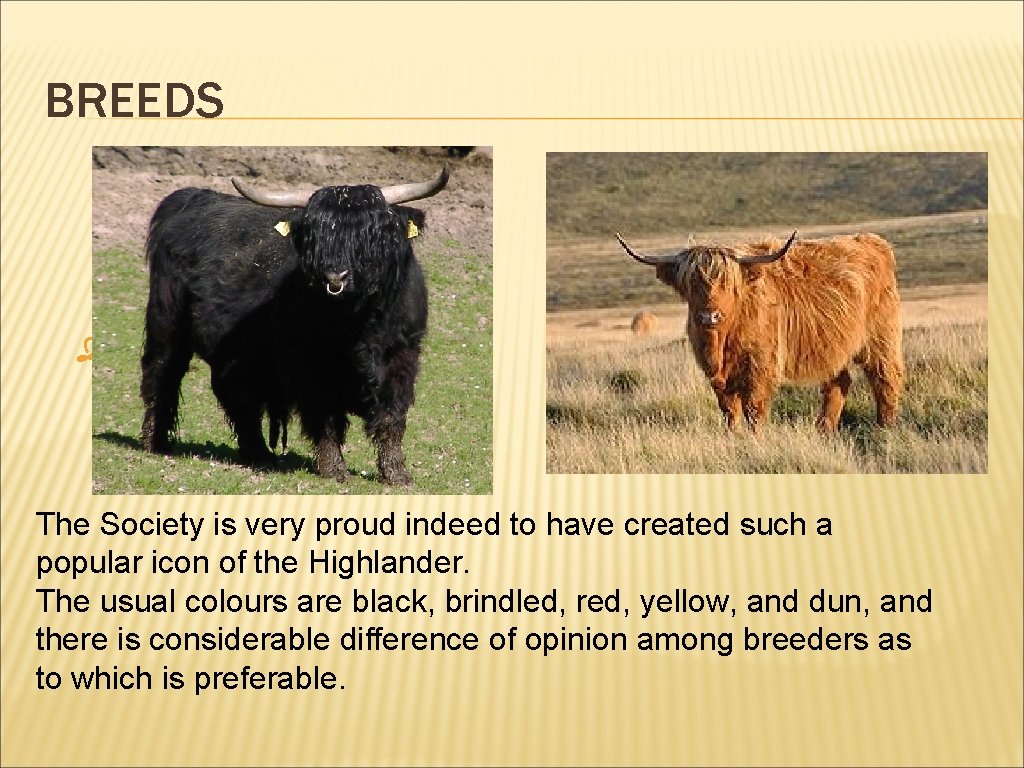 BREEDS Co The Society is very proud indeed to have created such a popular