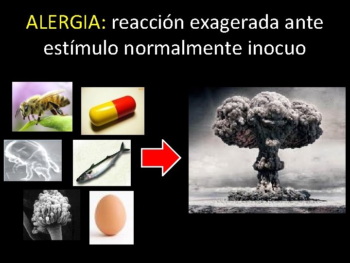 ALERGIA: reacción exagerada ante estímulo normalmente inocuo 