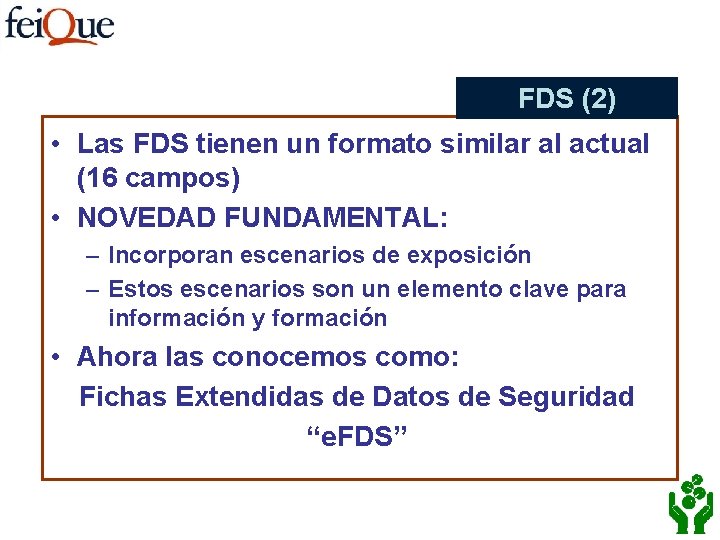 FDS (2) • Las FDS tienen un formato similar al actual (16 campos) •
