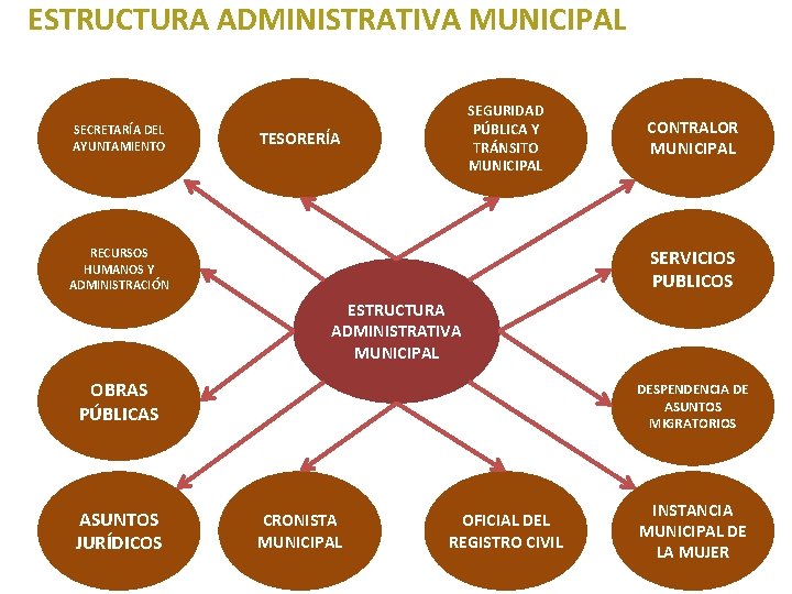 ESTRUCTURA ADMINISTRATIVA MUNICIPAL 2. 4 SECRETARÍA DEL AYUNTAMIENTO SEGURIDAD PÚBLICA Y TRÁNSITO MUNICIPAL TESORERÍA