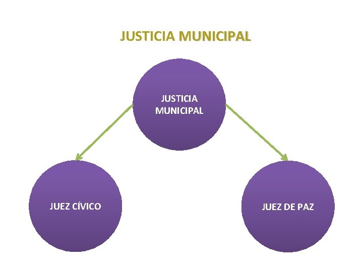 JUSTICIA MUNICIPAL 2. 4 JUSTICIA MUNICIPAL JUEZ CÍVICO JUEZ DE PAZ 