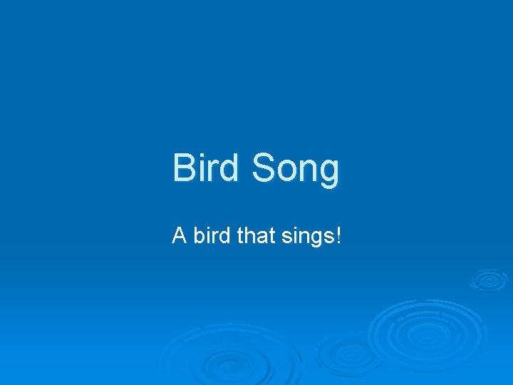 Bird Song A bird that sings! 