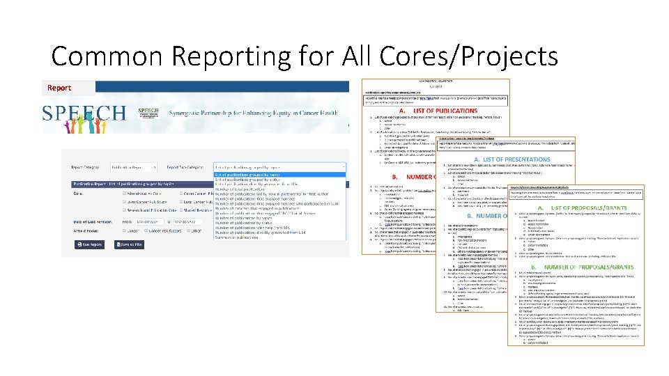 Common Reporting for All Cores/Projects Report 
