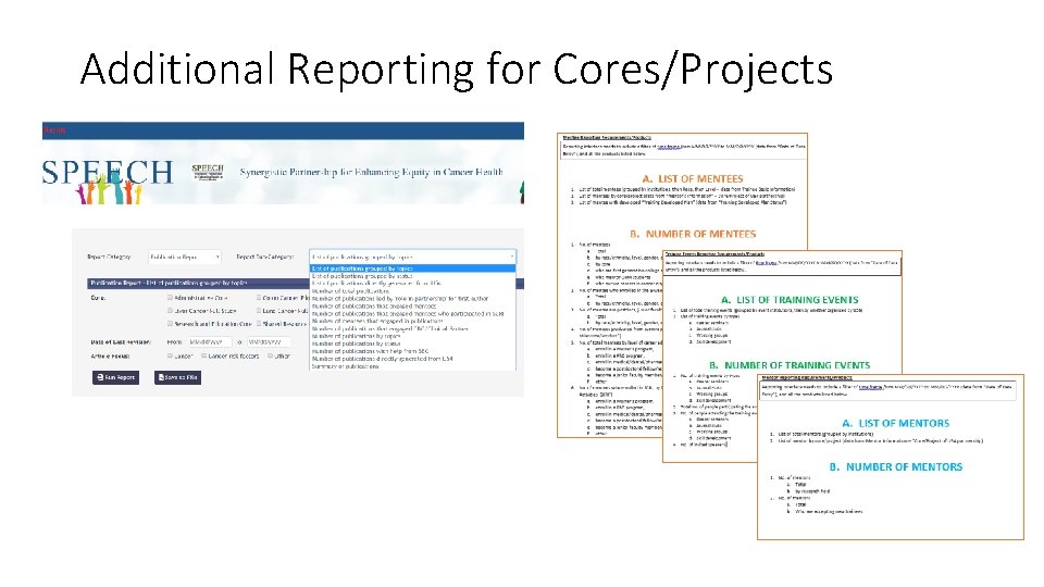 Additional Reporting for Cores/Projects Report 