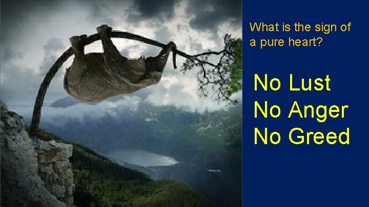 What is the sign of a pure heart? No Lust No Anger No Greed