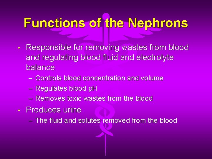 Functions of the Nephrons • Responsible for removing wastes from blood and regulating blood