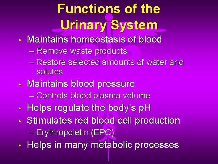 Functions of the Urinary System • Maintains homeostasis of blood – Remove waste products