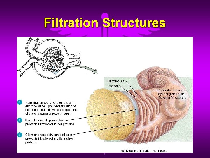 Filtration Structures Filtration Structures