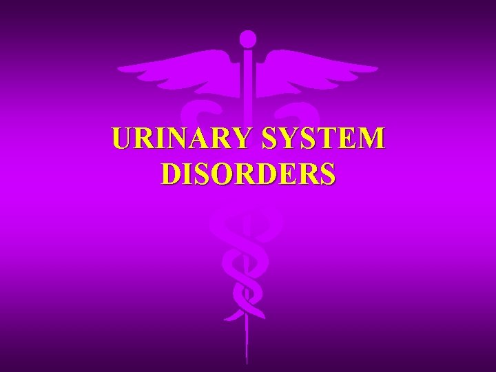 URINARY SYSTEM DISORDERS 