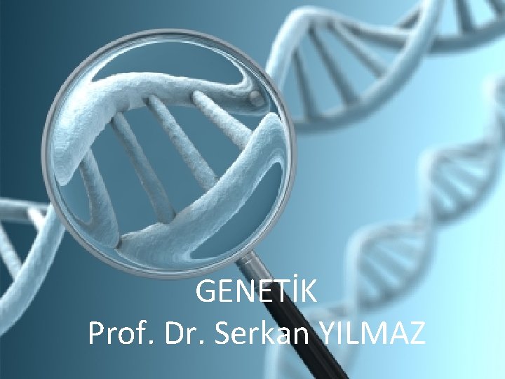 GENETİK Prof. Dr. Serkan YILMAZ 