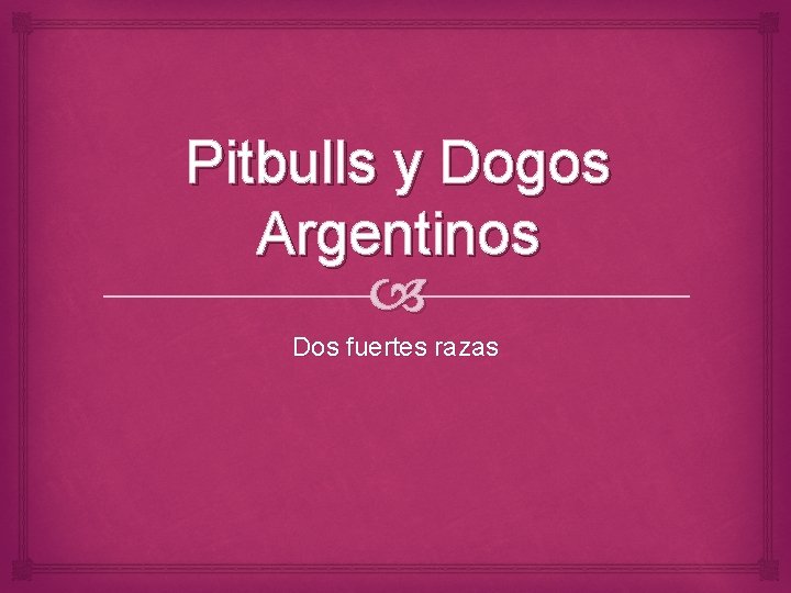 Pitbulls y Dogos Argentinos Dos fuertes razas 