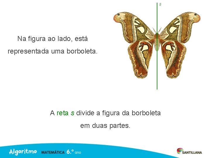 s Na figura ao lado, está representada uma borboleta. A reta s divide a