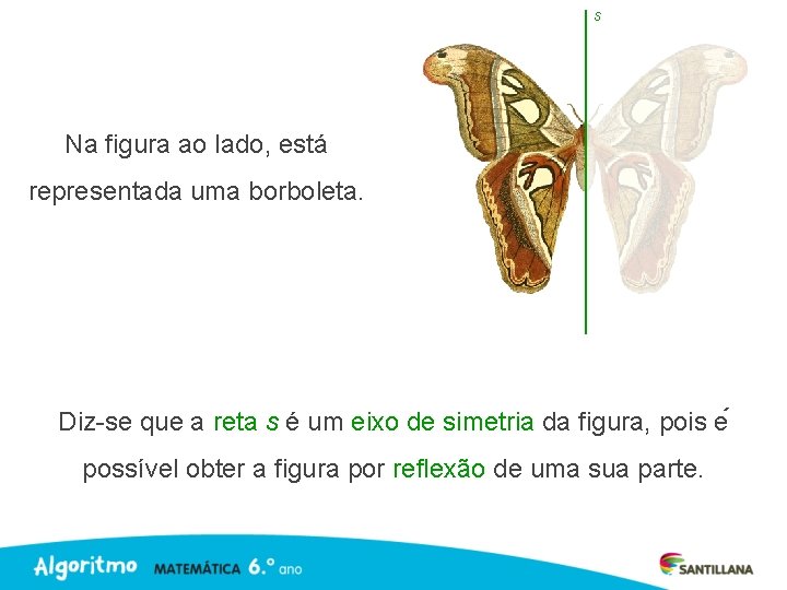 s Na figura ao lado, está representada uma borboleta. Diz-se que a reta s