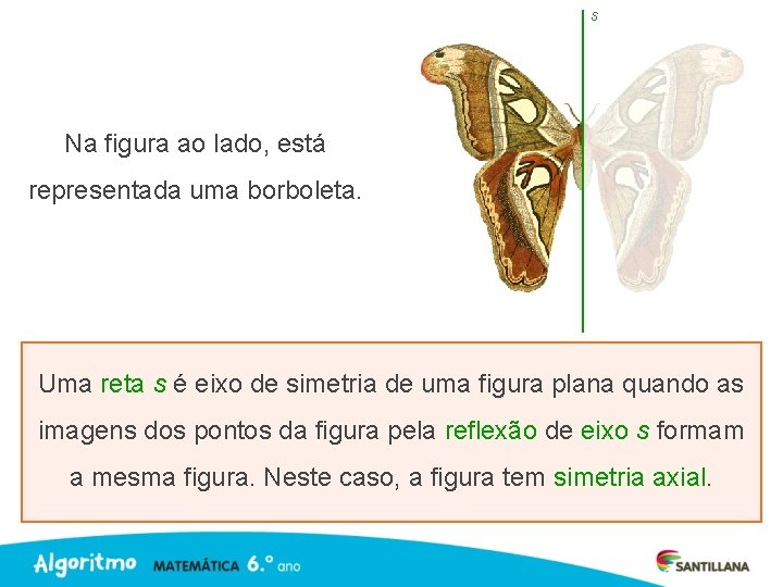 s Na figura ao lado, está representada uma borboleta. Uma reta s é eixo