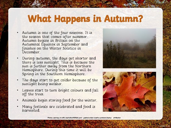What Happens in Autumn? • Autumn is one of the four seasons. It is