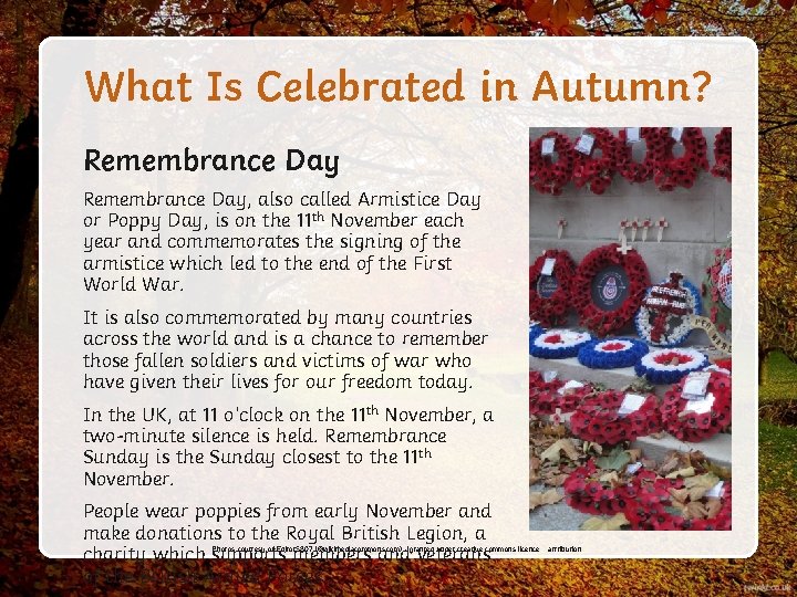 What Is Celebrated in Autumn? Remembrance Day, also called Armistice Day or Poppy Day,