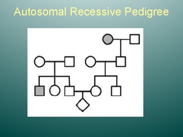 Autosomal Recessive Pedigree 