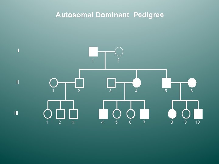 Autosomal Dominant Pedigree I 2 1 II 1 2 3 4 5 6 III