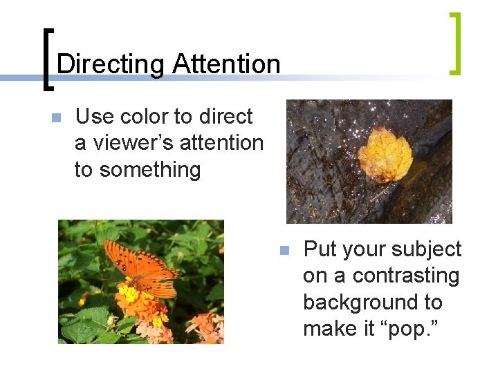 Directing Attention n Use color to direct a viewer’s attention to something n Put