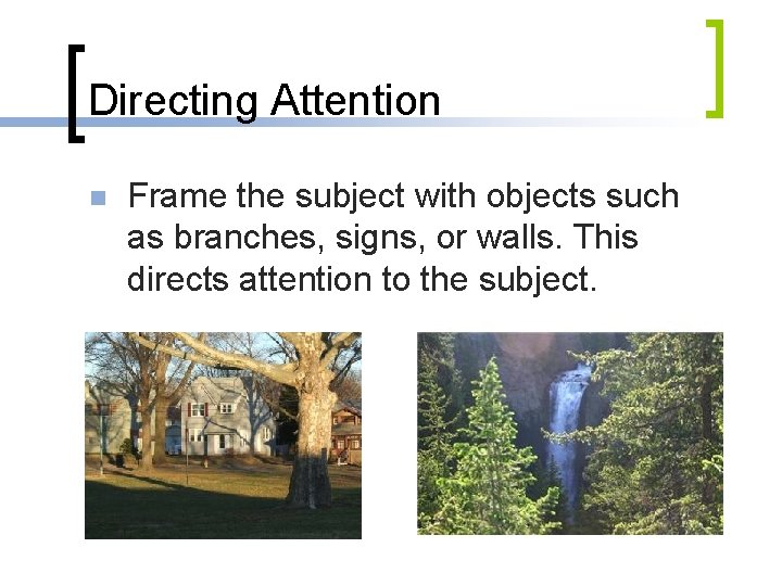 Directing Attention n Frame the subject with objects such as branches, signs, or walls.