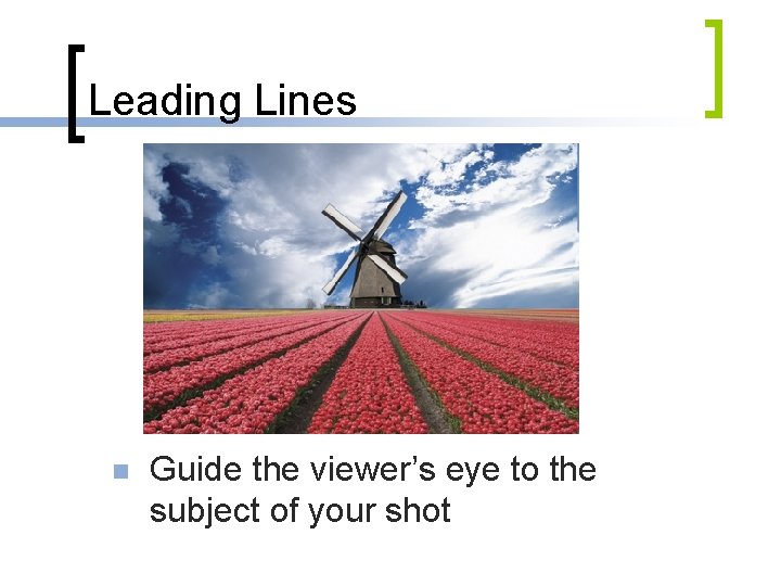 Leading Lines n Guide the viewer’s eye to the subject of your shot 