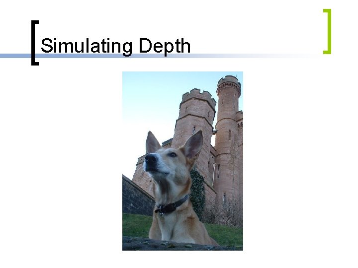 Simulating Depth 