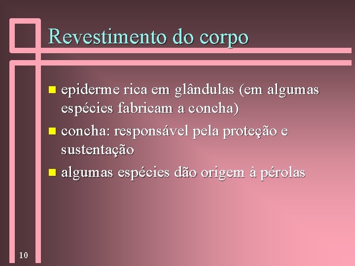 Revestimento do corpo epiderme rica em glândulas (em algumas espécies fabricam a concha) n