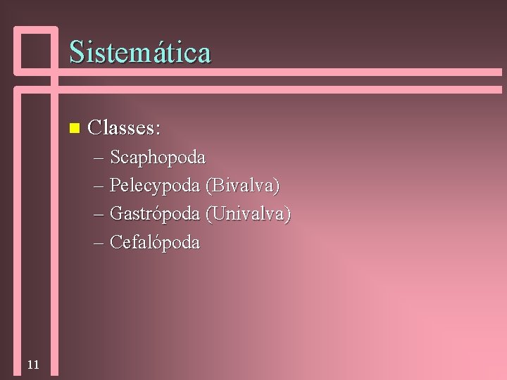 Sistemática n Classes: – Scaphopoda – Pelecypoda (Bivalva) – Gastrópoda (Univalva) – Cefalópoda 11