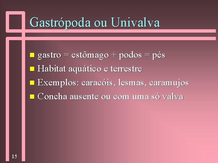 Gastrópoda ou Univalva gastro = estômago + podos = pés n Habitat aquático e