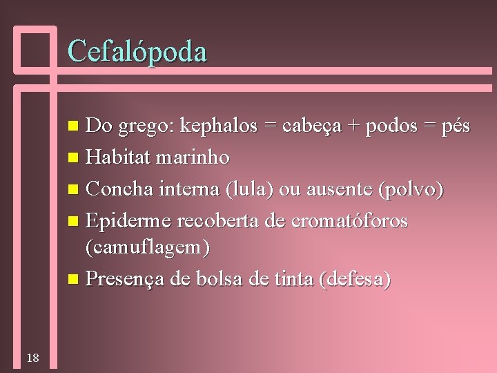 Cefalópoda Do grego: kephalos = cabeça + podos = pés n Habitat marinho n