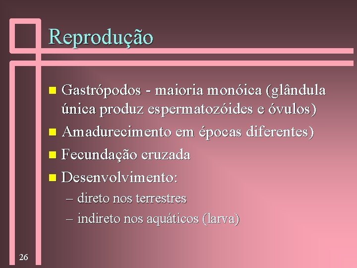 Reprodução Gastrópodos - maioria monóica (glândula única produz espermatozóides e óvulos) n Amadurecimento em