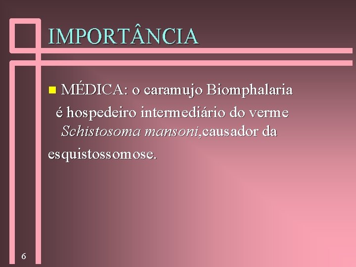 IMPORT NCIA MÉDICA: o caramujo Biomphalaria é hospedeiro intermediário do verme Schistosoma mansoni, causador