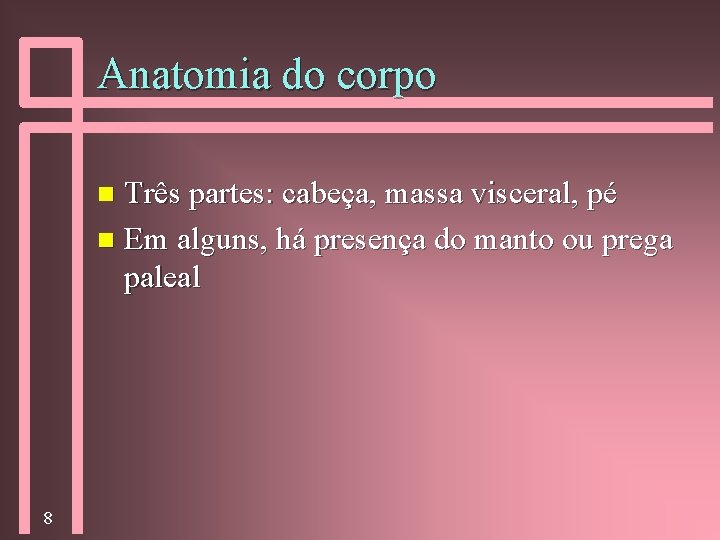 Anatomia do corpo Três partes: cabeça, massa visceral, pé n Em alguns, há presença