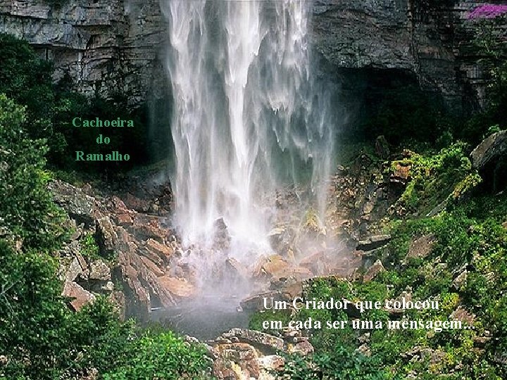 Cachoeira do Ramalho Um Criador que colocou em cada ser uma mensagem. . .