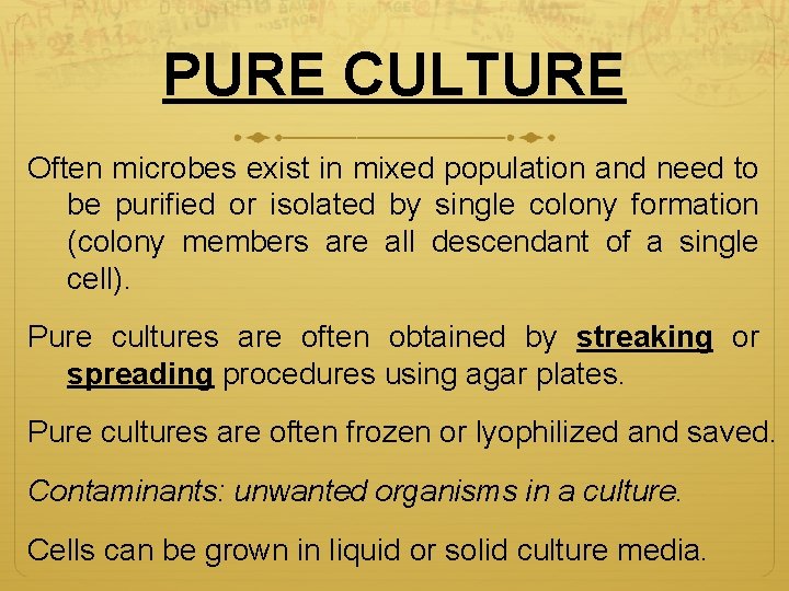 PURE CULTURE Often microbes exist in mixed population and need to be purified or