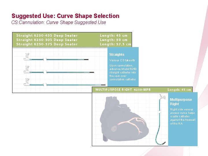 CRT Essentials Program Left-Heart Lead Implant Procedure Suggested Use: Curve Shape Selection CS Cannulation: