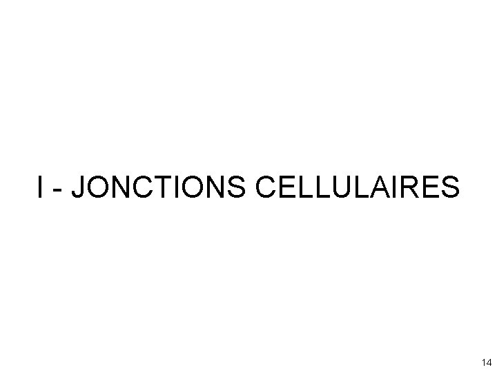 I - JONCTIONS CELLULAIRES 14 I - JONCTIONS CELLULAIRES 14