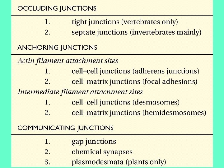 Table 19 -1 Table 19 -1