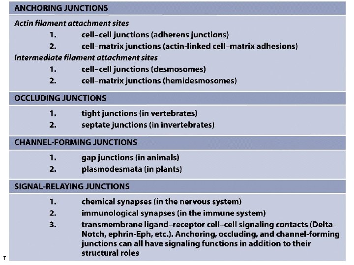 Table 19 -1 Molecular Biology of the Cell (© Garland Science 2008) Table 19 -1 Molecular Biology of the Cell (© Garland Science 2008)