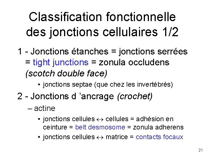 Classification fonctionnelle des jonctions cellulaires 1/2 1 - Jonctions étanches = jonctions serrées = Classification fonctionnelle des jonctions cellulaires 1/2 1 - Jonctions étanches = jonctions serrées =