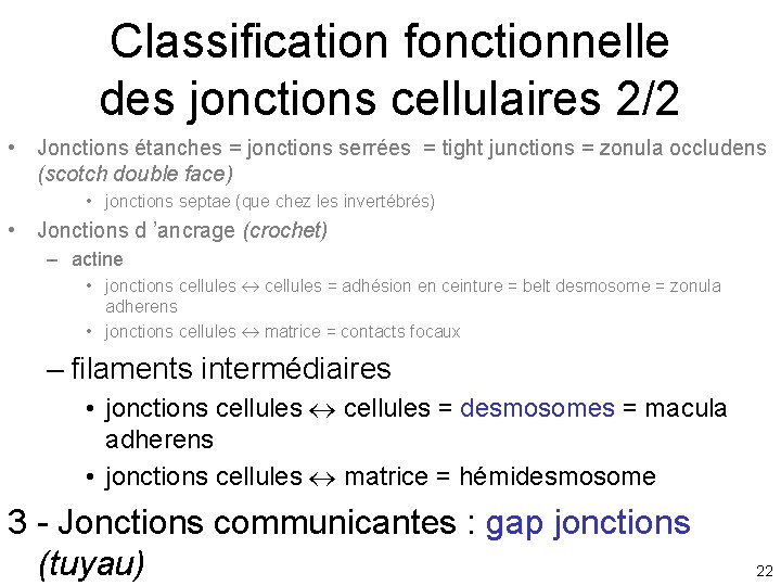 Classification fonctionnelle des jonctions cellulaires 2/2 • Jonctions étanches = jonctions serrées = tight Classification fonctionnelle des jonctions cellulaires 2/2 • Jonctions étanches = jonctions serrées = tight