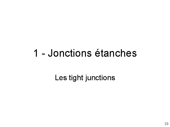 1 - Jonctions étanches Les tight junctions 23 1 - Jonctions étanches Les tight junctions 23
